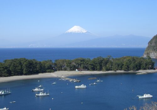「美浜レステル」大浴場温泉化のお知らせ