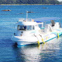 「串本海中公園センター」 公式ホームページ　リニューアルのお知らせ